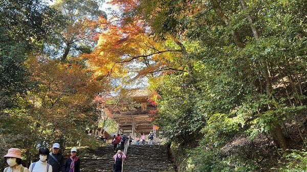 京都の秋いよいよ紅葉始まる(^^♪