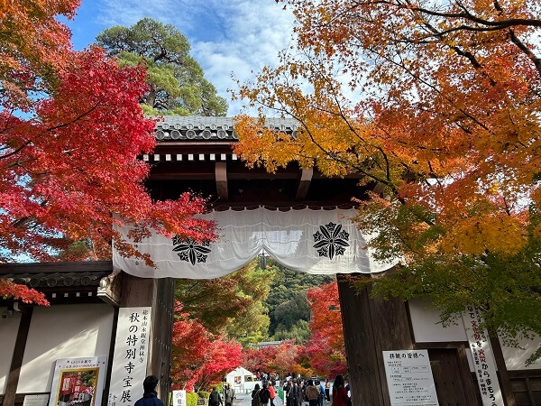 京都の秋が大好きです♪