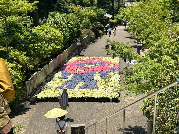 宇治・三室戸寺にて
