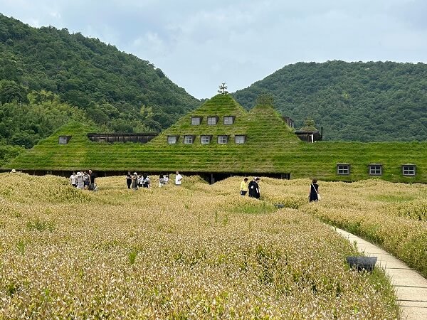素敵な非日常でした