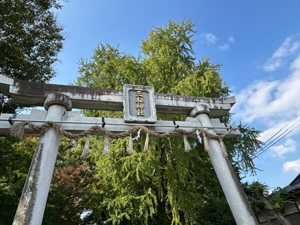 ときめきの秋～少しずつ