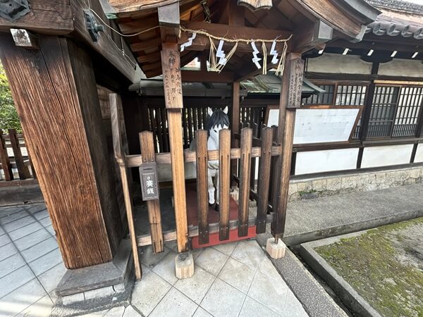 今年も‥きっと