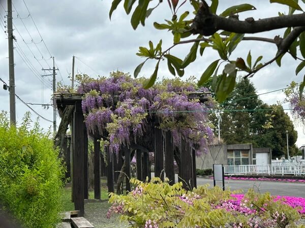 いよいよです♪