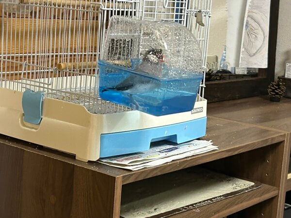 そんなところも愛らしい♪