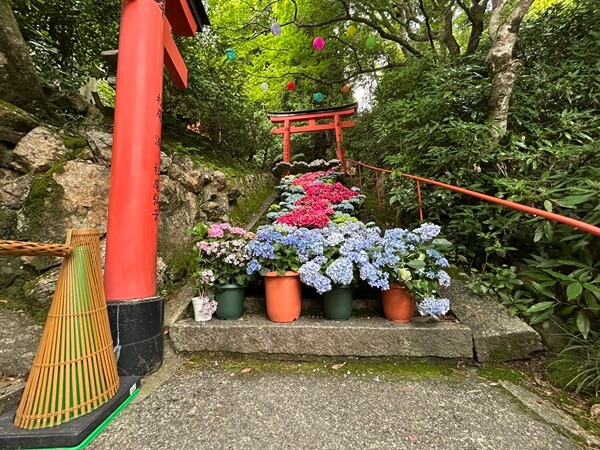 季節を楽しむ♪