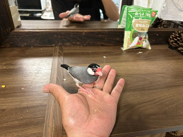 平和で癒しの朝(^^♪