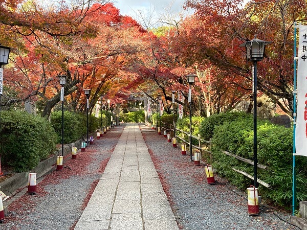 京都の秋～ひたすら素敵(^^♪